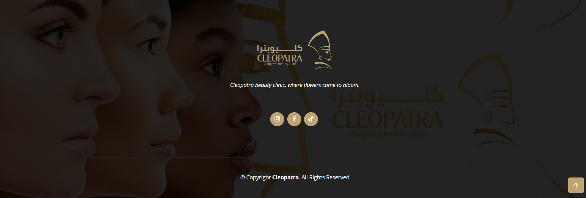 cleopatra clinic